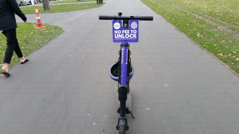 The photograph attached to this parks report