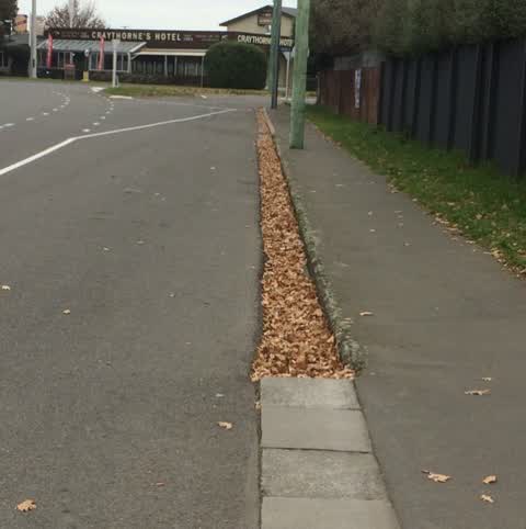 Roading/Streets, a report photo