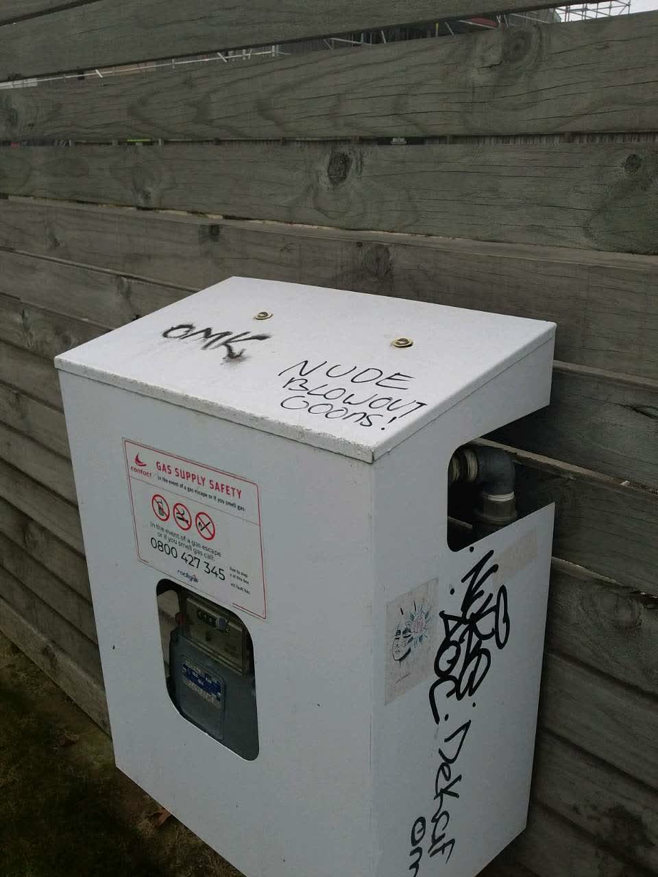 The photograph attached to this graffiti report