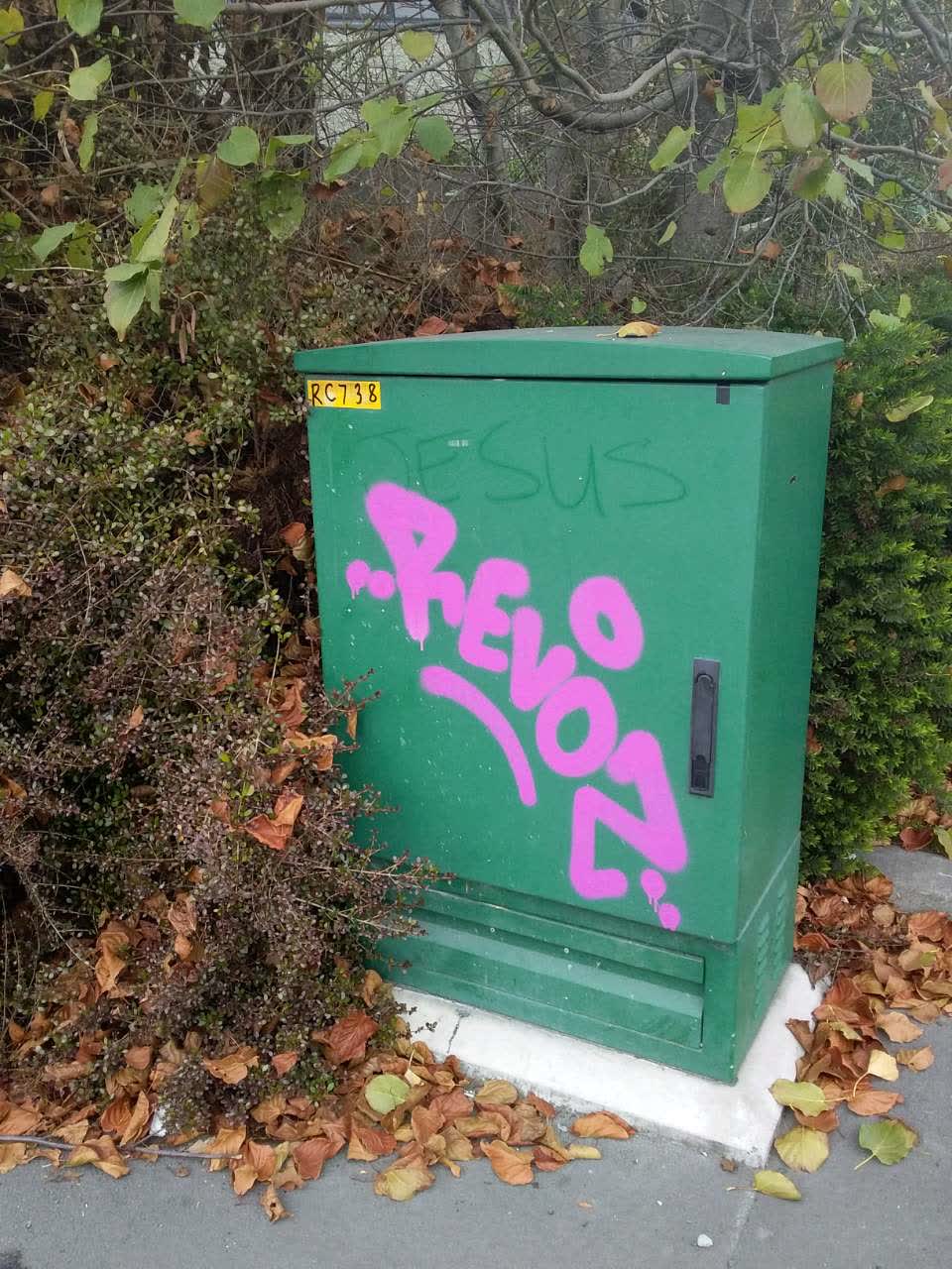 The photograph attached to this graffiti report