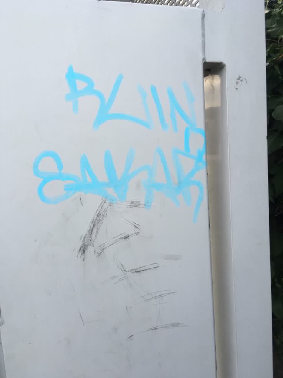 The photograph attached to this graffiti report