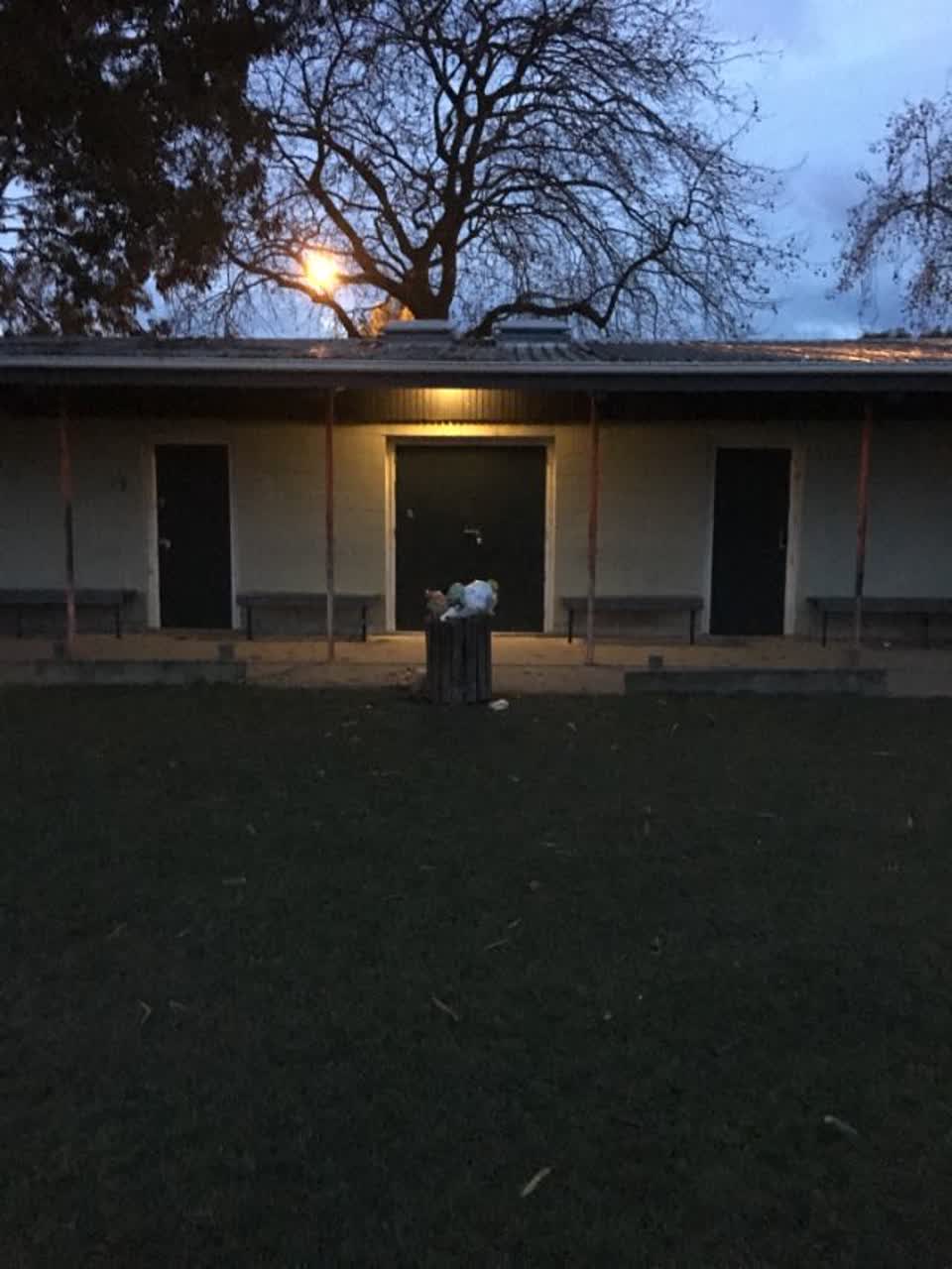 The photograph attached to this parks report