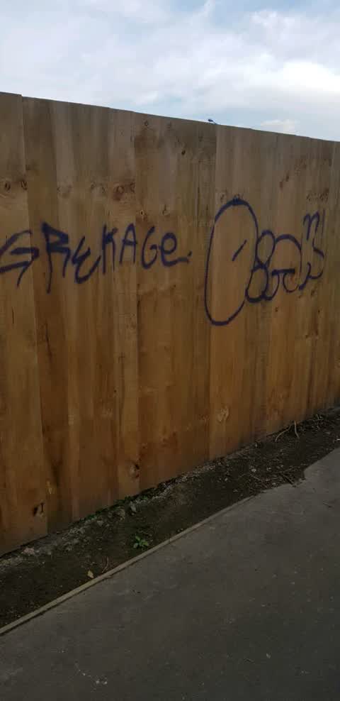 Graffiti, a report photo