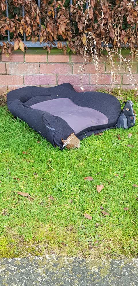 Rubbish/Recycling, a report photo