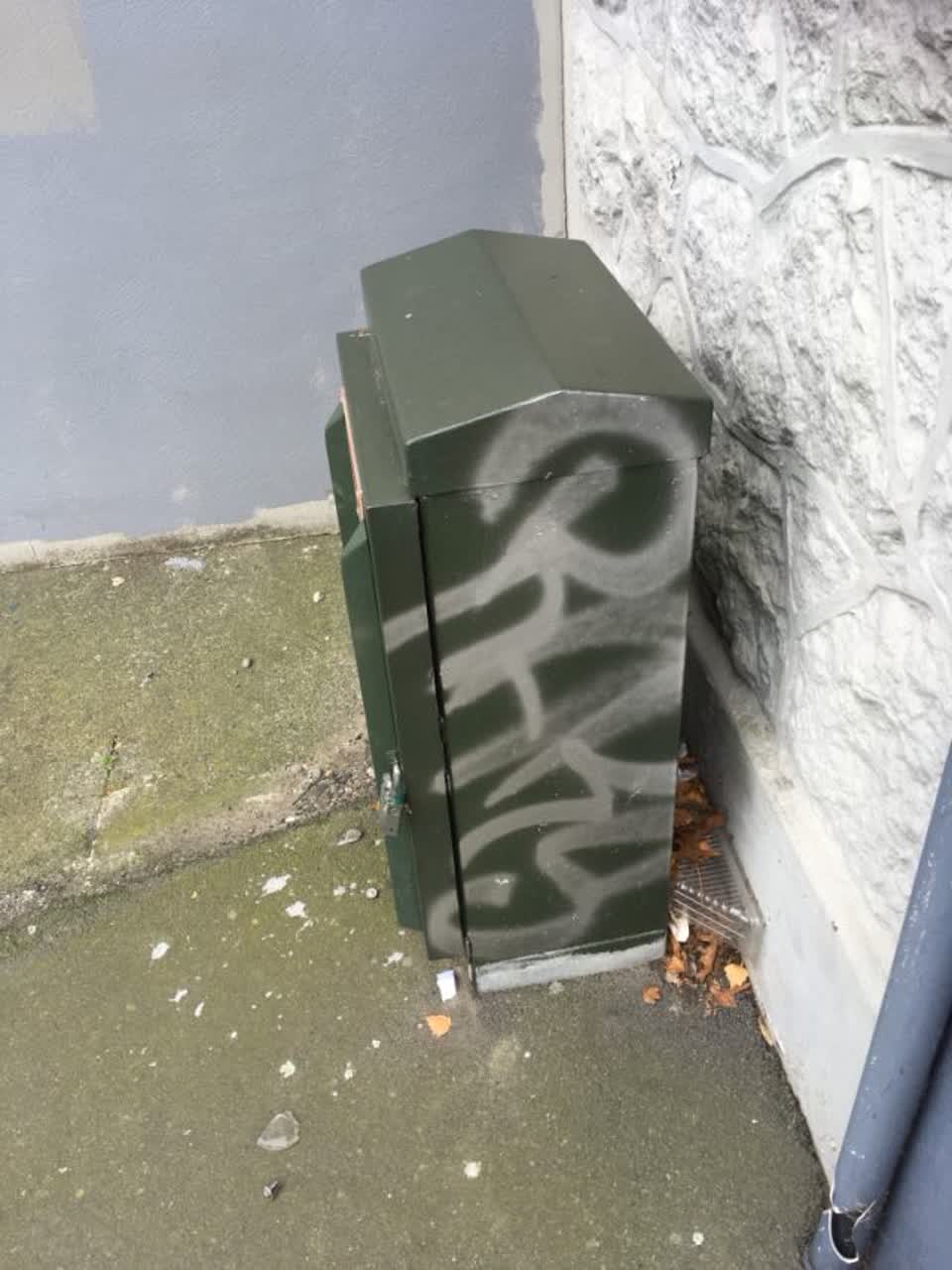 The photograph attached to this graffiti report