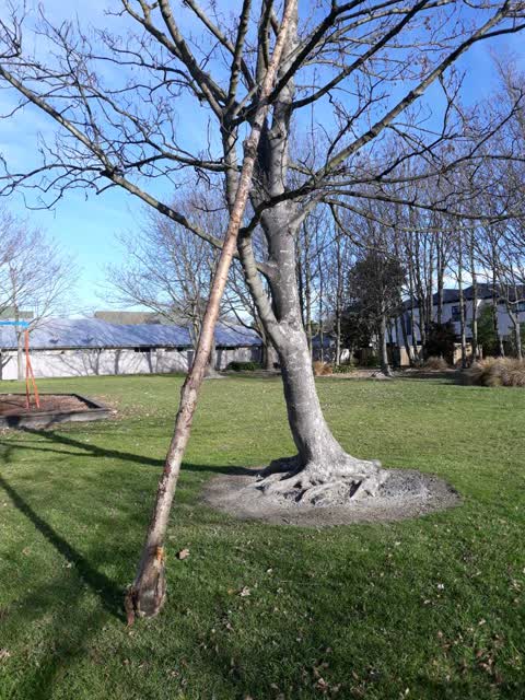 Parks, a report photo