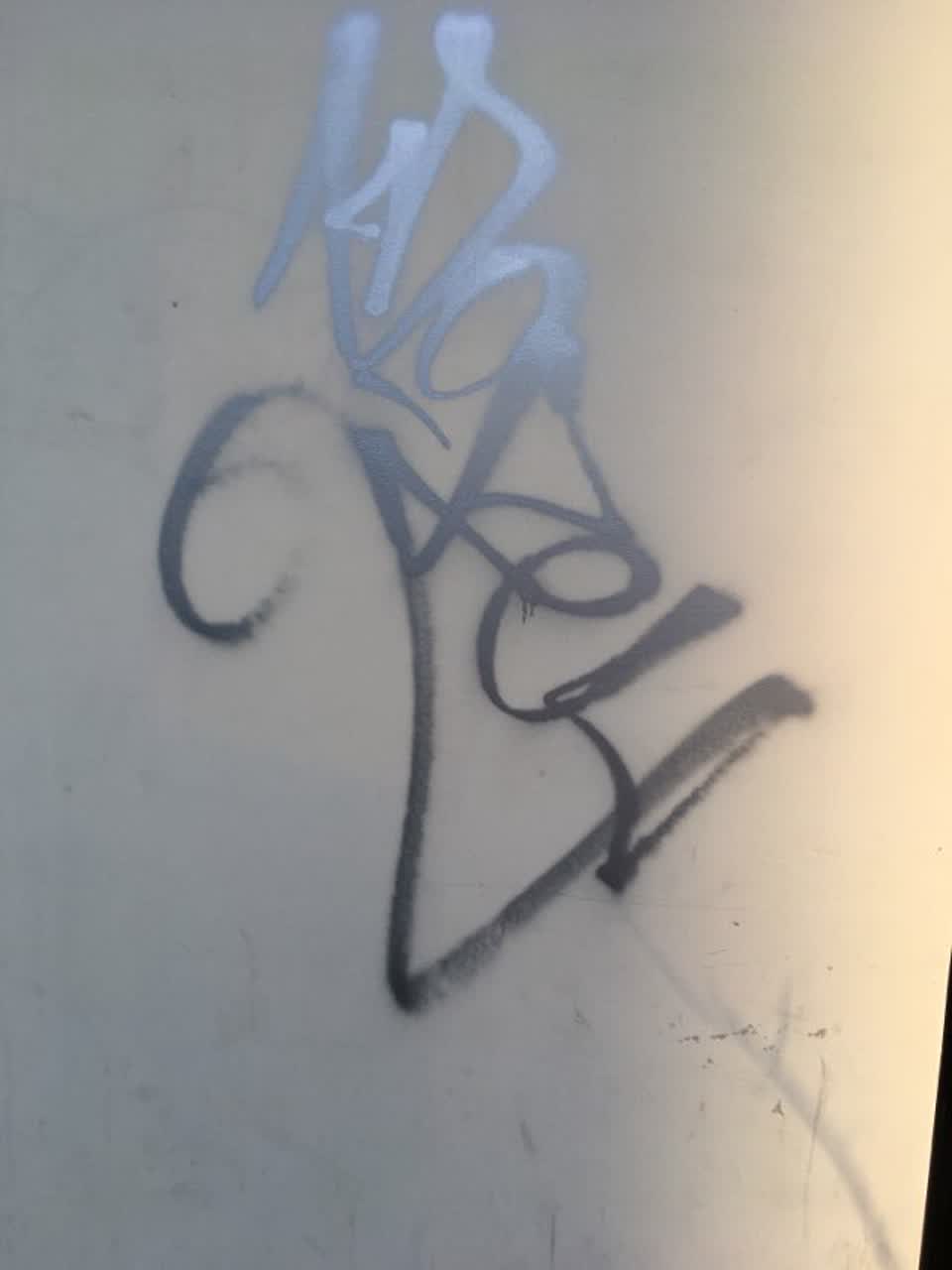The photograph attached to this graffiti report