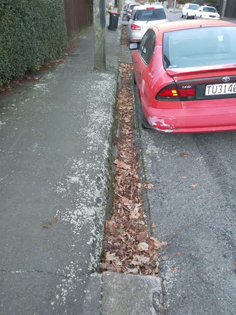 Roading/Streets, a report photo