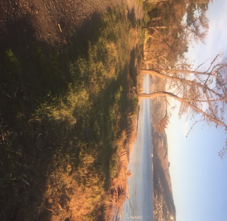 The photograph attached to this flooding report