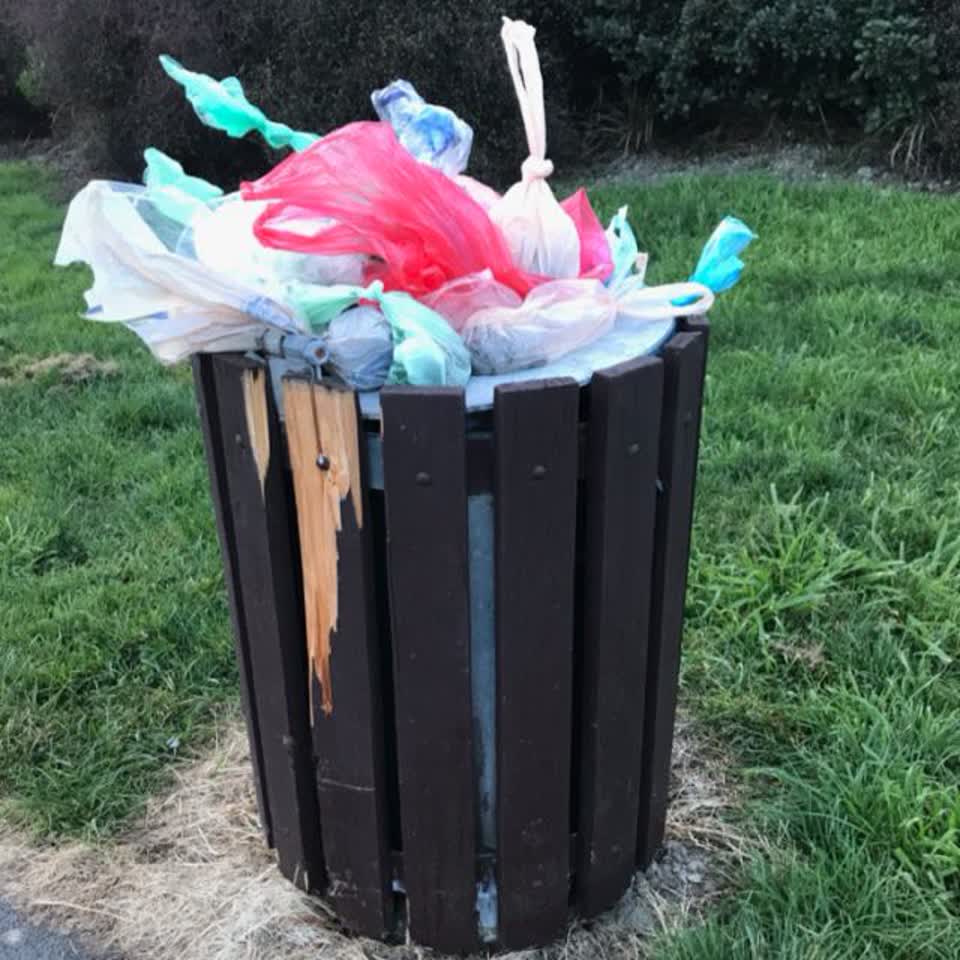 The photograph attached to this rubbish/recycling report