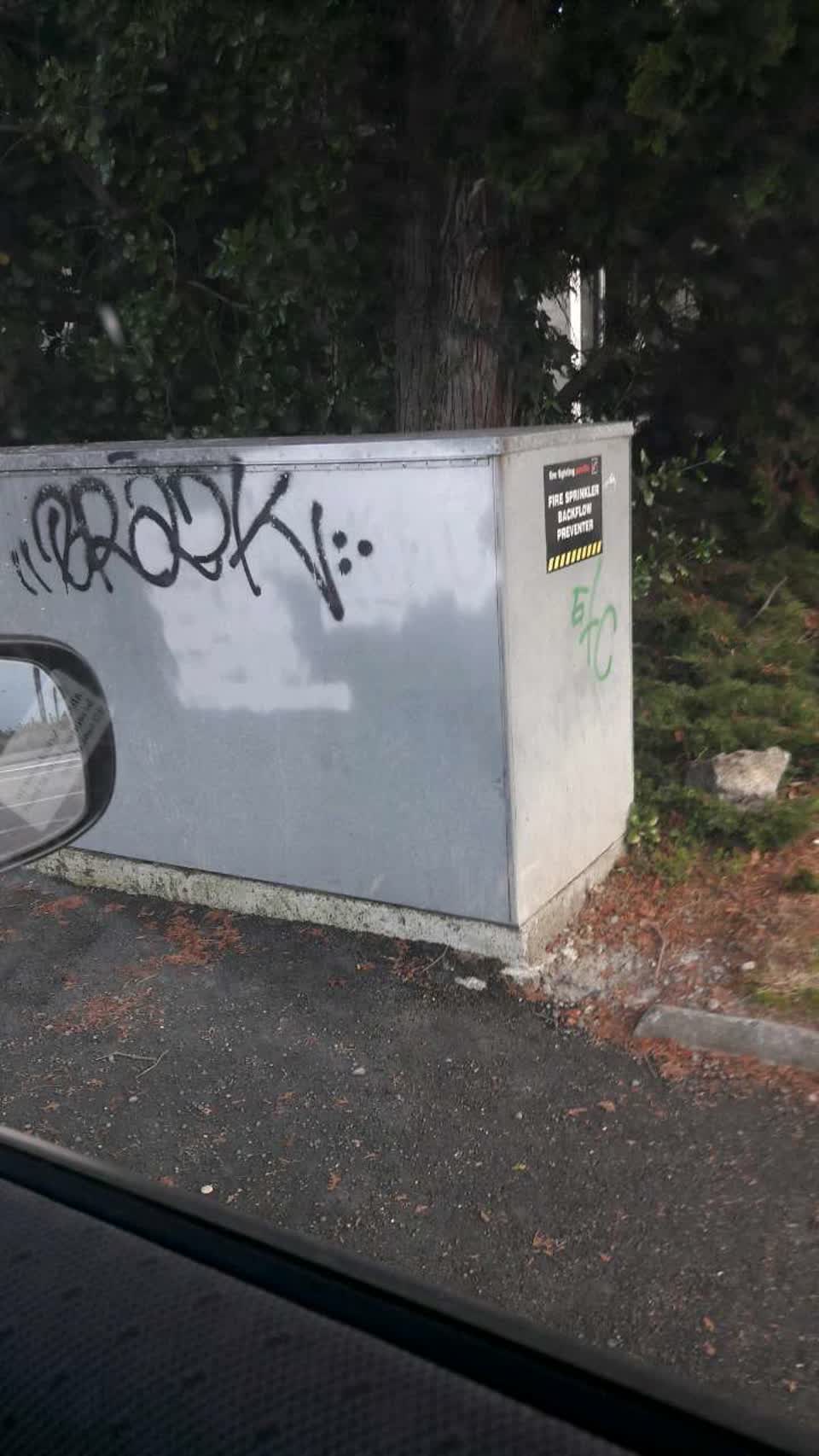 The photograph attached to this graffiti report