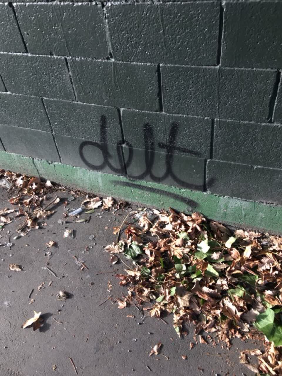 The photograph attached to this graffiti report