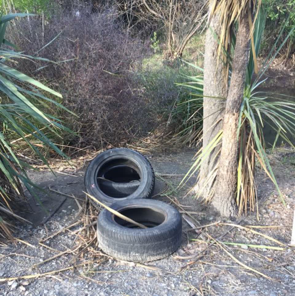 The photograph attached to this rubbish/recycling report