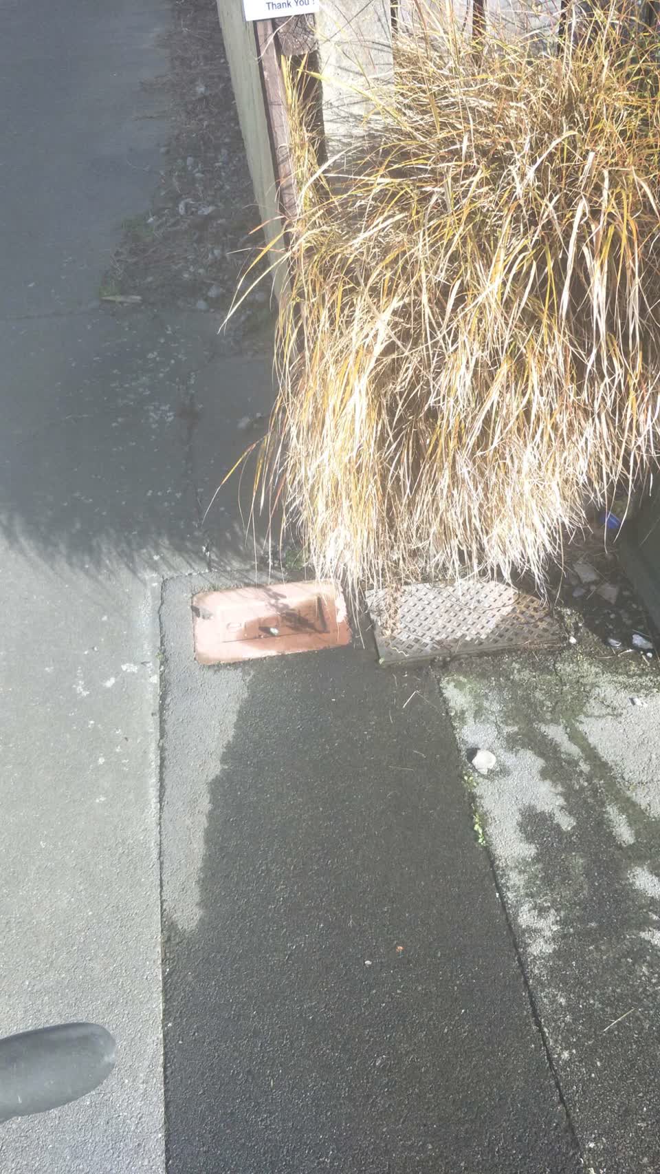 The photograph attached to this water supply report