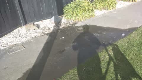 Water Supply, a report photo