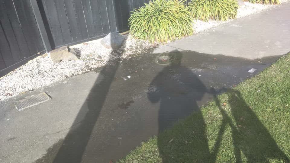 The photograph attached to this water supply report