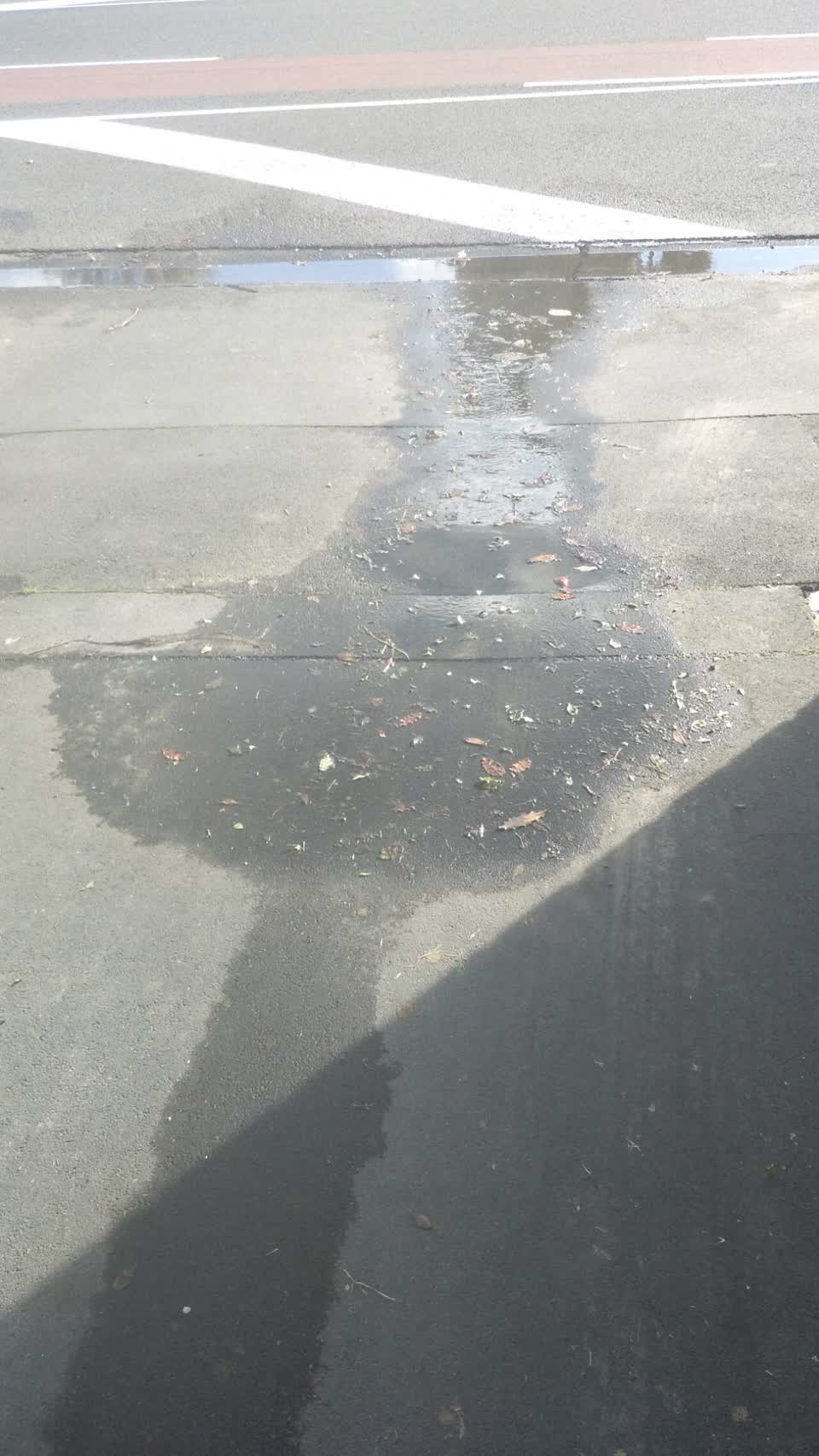 The photograph attached to this water supply report