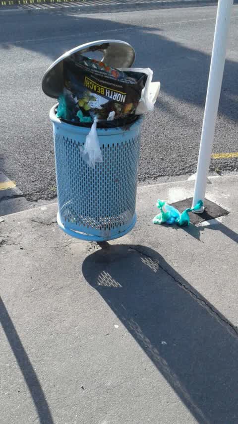 Rubbish/Recycling, a report photo