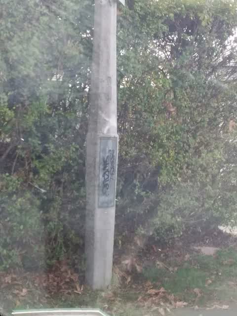 Graffiti, a report photo