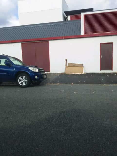 Rubbish/Recycling, a report photo