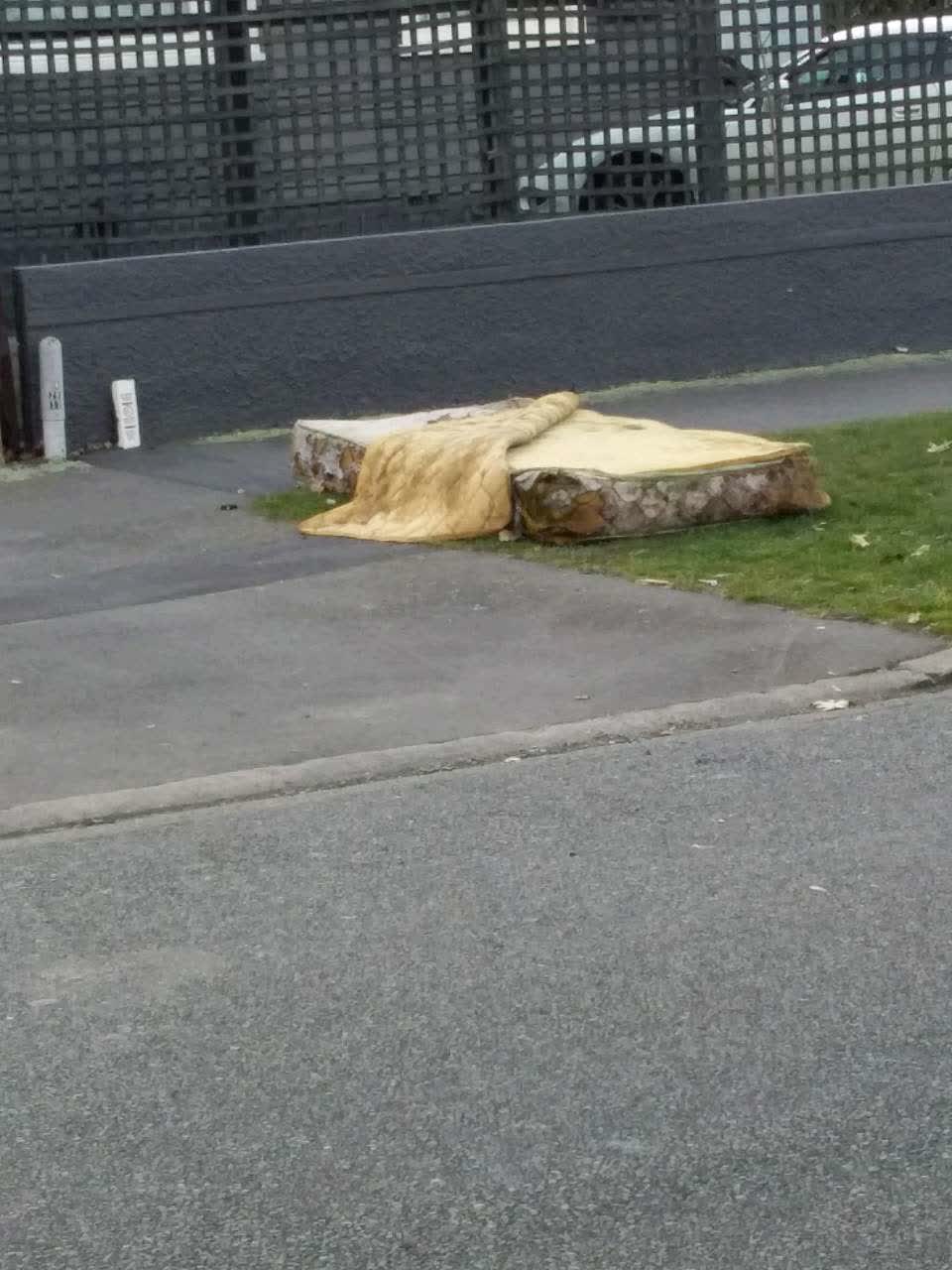 The photograph attached to this rubbish/recycling report