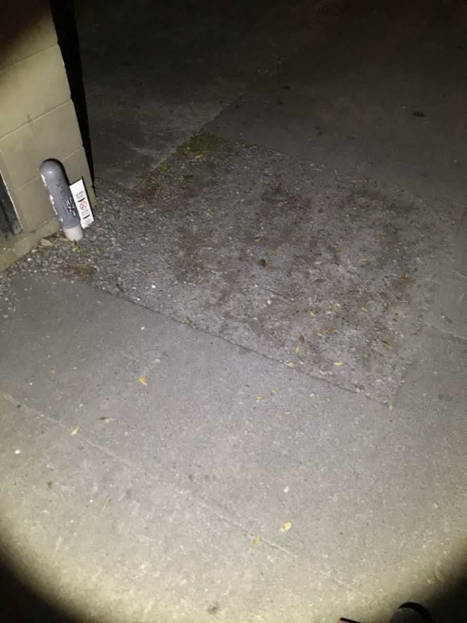 The photograph attached to this roading/streets report