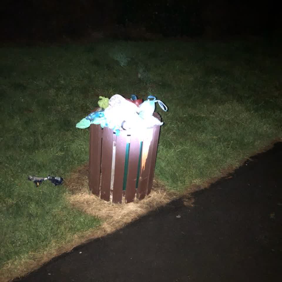 The photograph attached to this parks report