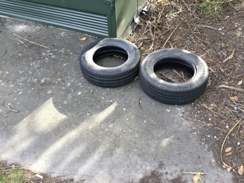 The photograph attached to this rubbish/recycling report