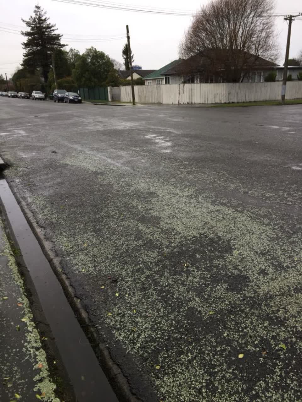 The photograph attached to this roading/streets report
