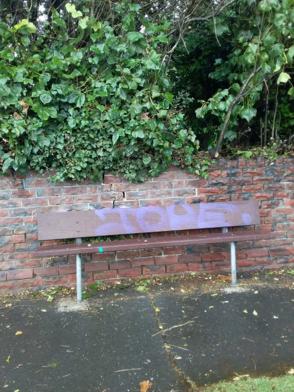 The photograph attached to this graffiti report