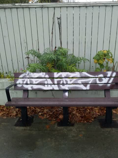 Graffiti, a report photo