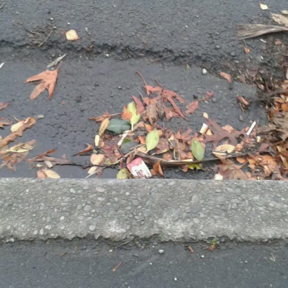 The photograph attached to this wastewater/stormwater report