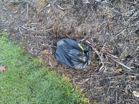 Rubbish/Recycling, a report photo