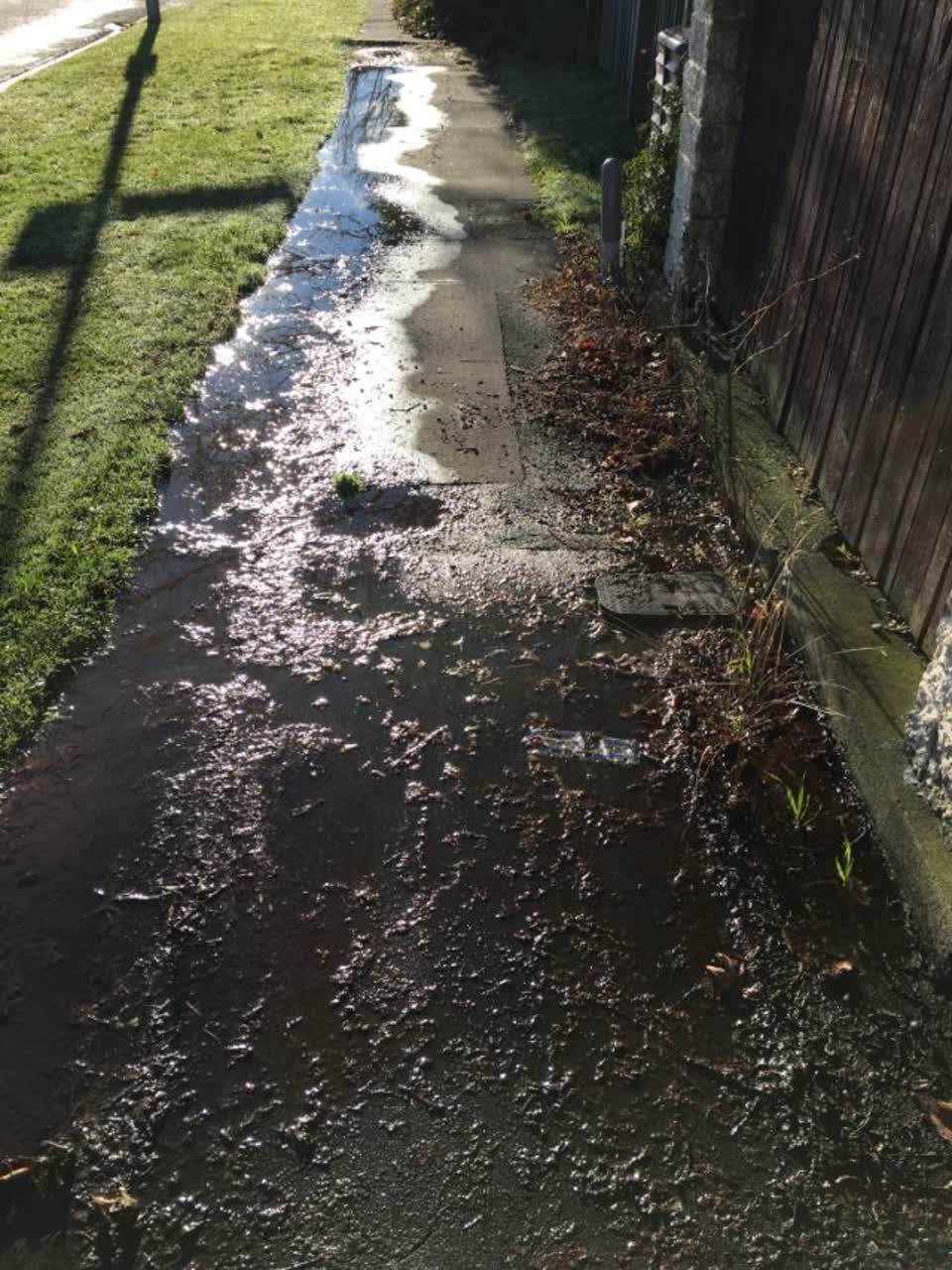 The photograph attached to this flooding report
