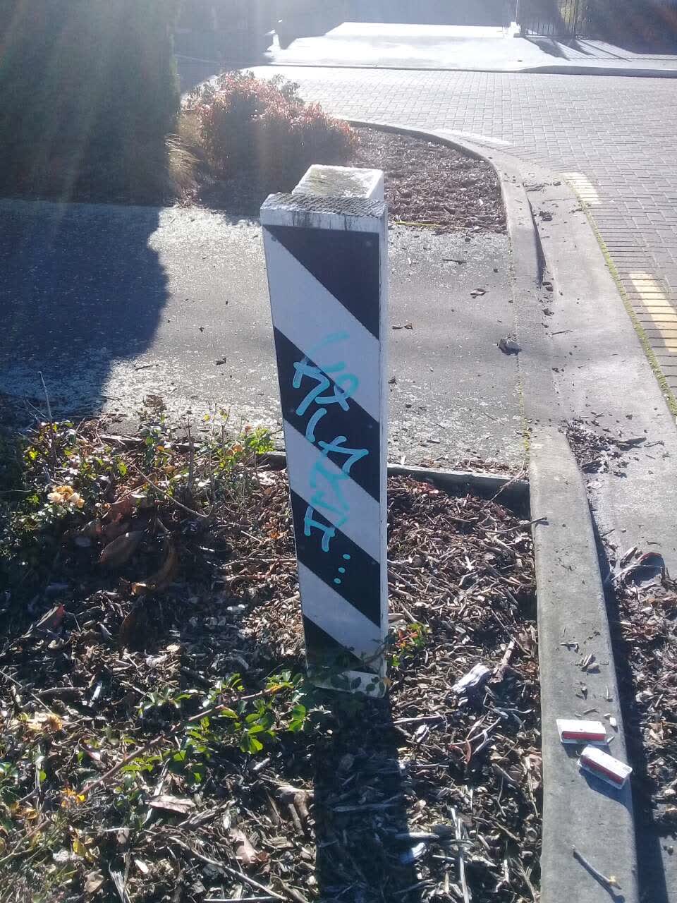 The photograph attached to this graffiti report