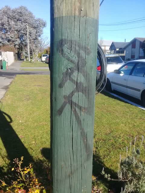 Graffiti, a report photo