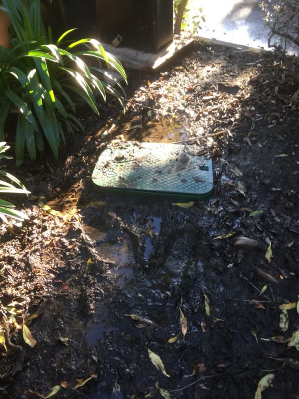 The photograph attached to this water supply report