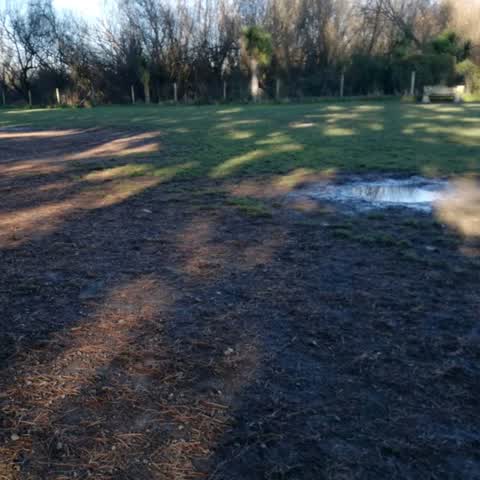 Parks, a report photo