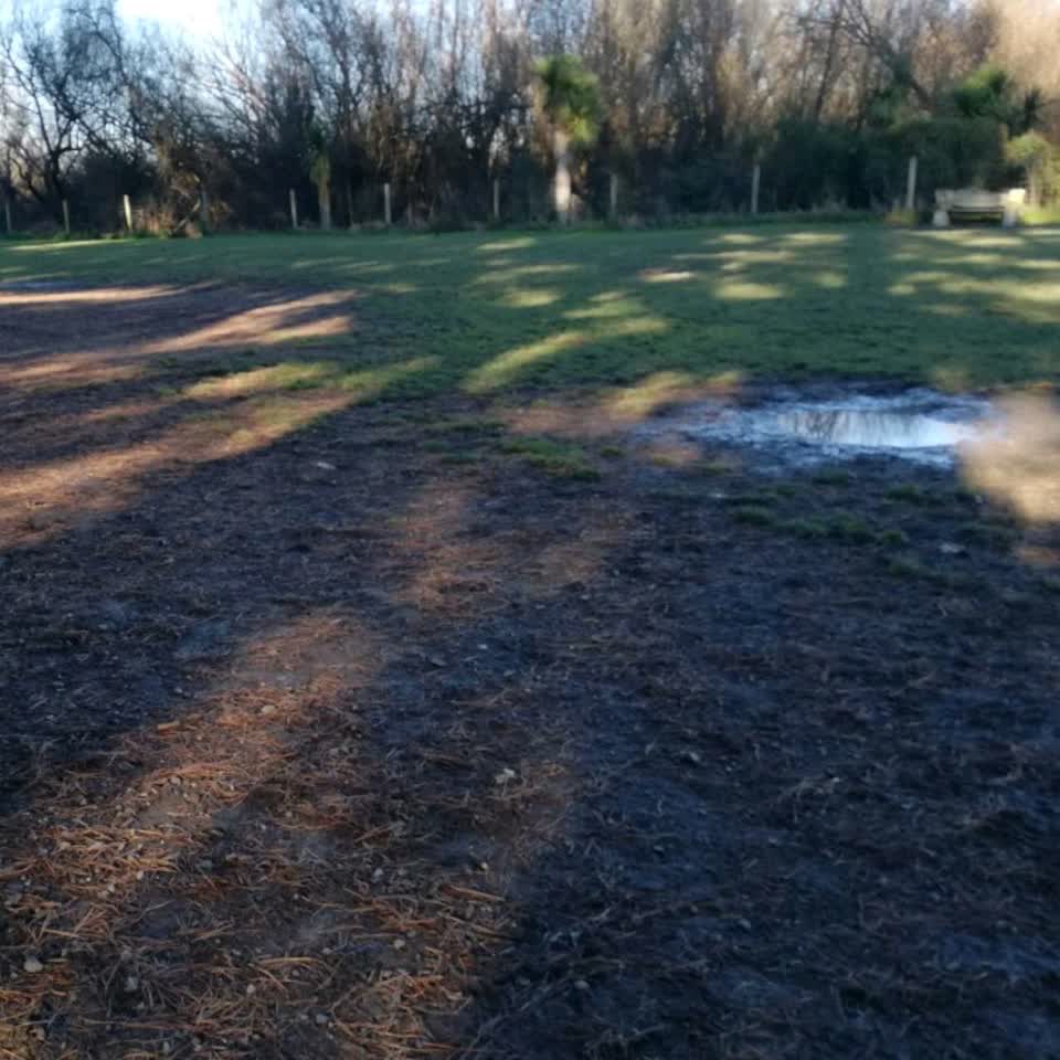 The photograph attached to this parks report