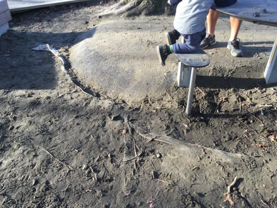 The photograph attached to this parks report