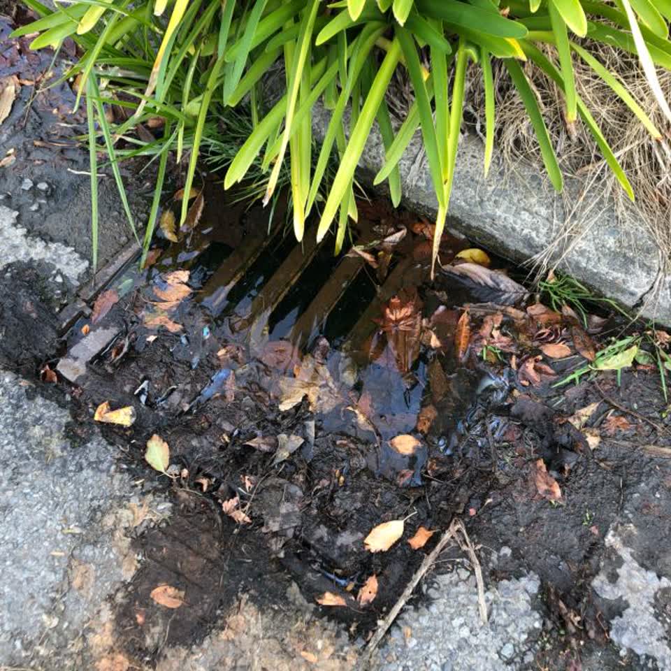 The photograph attached to this wastewater/stormwater report
