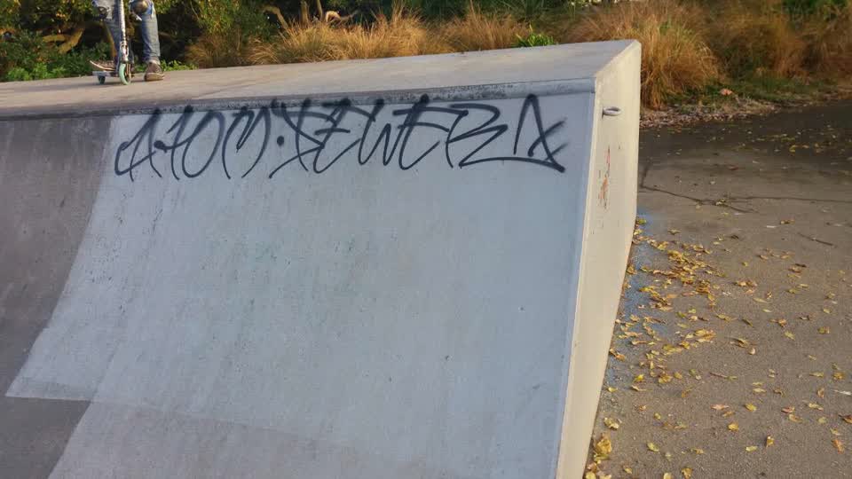The photograph attached to this graffiti report