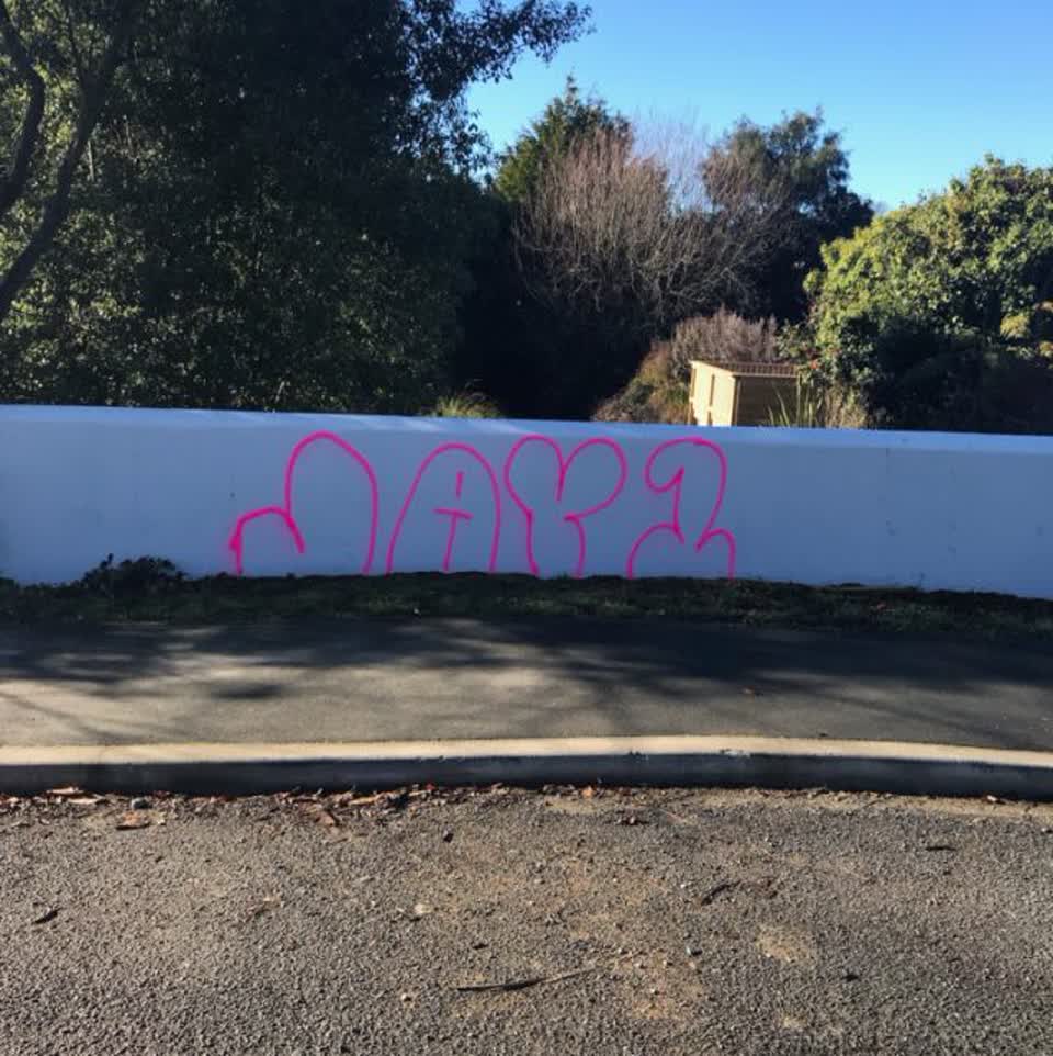 The photograph attached to this graffiti report