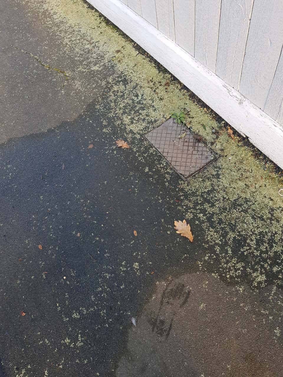 The photograph attached to this water supply report