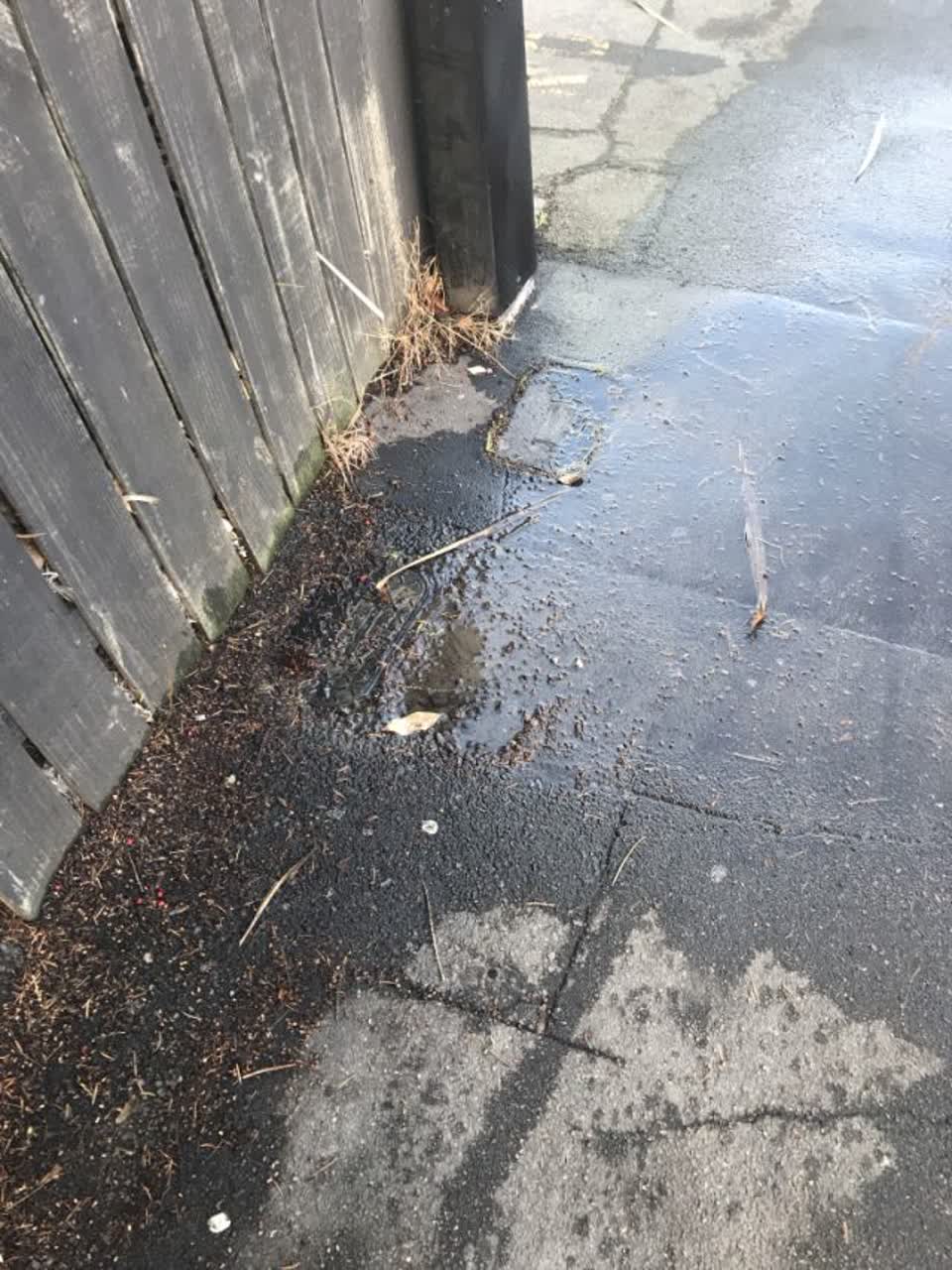 The photograph attached to this wastewater/stormwater report