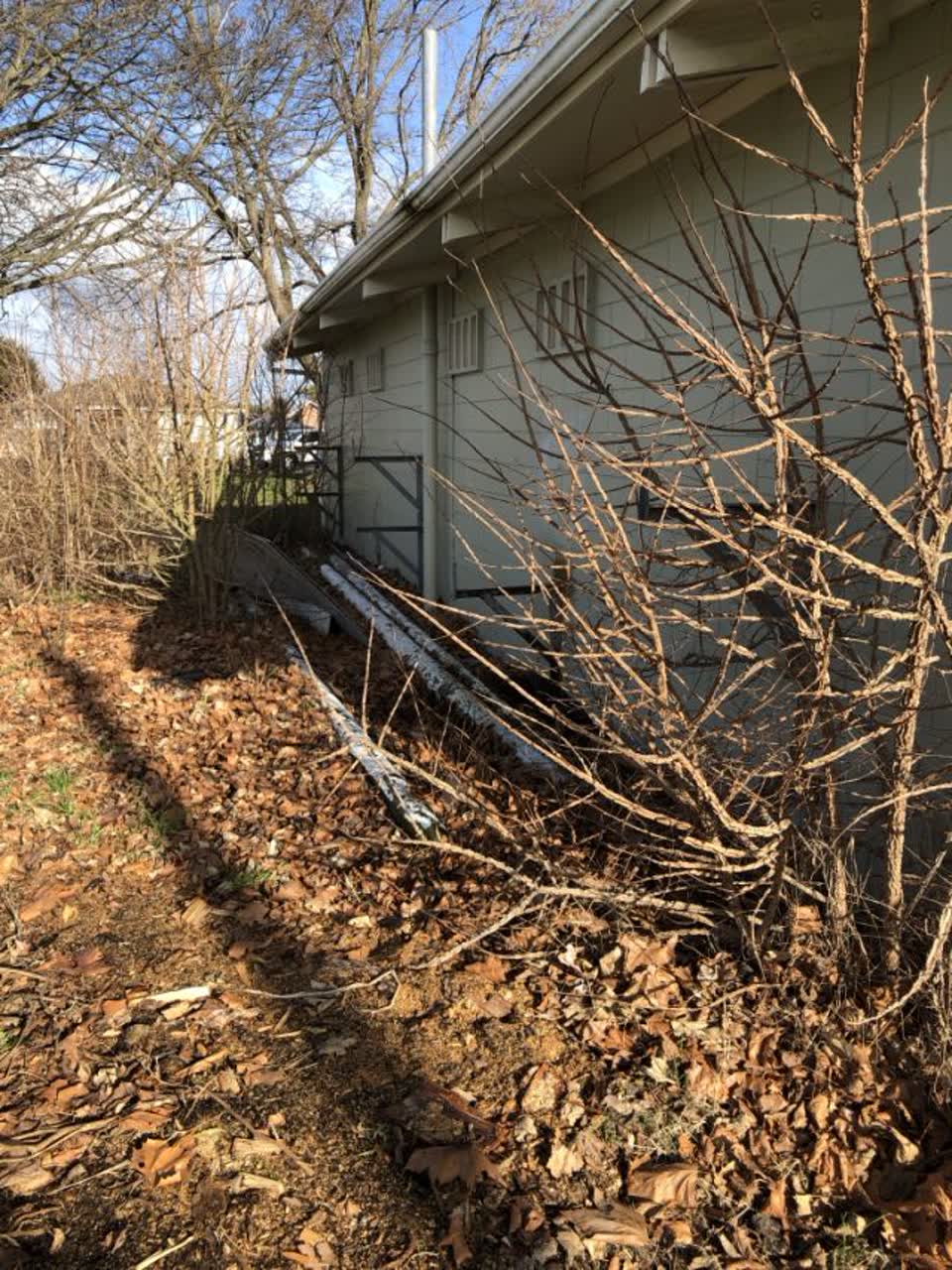 The photograph attached to this parks report