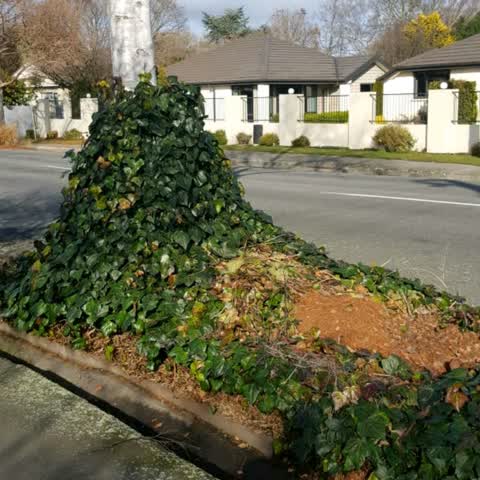 Roading/Streets, a report photo