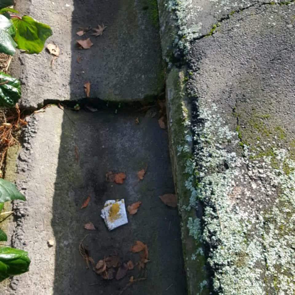 The photograph attached to this flooding report