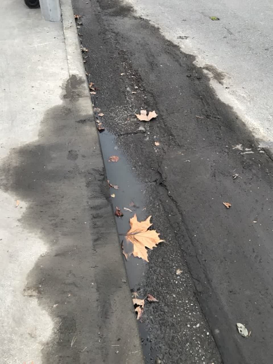The photograph attached to this wastewater/stormwater report