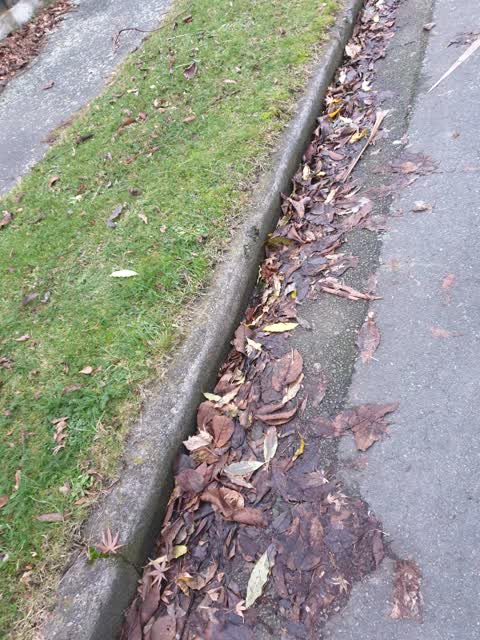 Flooding, a report photo